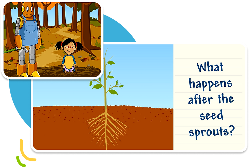 BrainPOP Jr.'s Plant Life Cycle topic showing a diagram of a young plant with roots underground alongside the question 'What happens after the seed sprouts?', with a video thumbnail of Moby and Annie in a forest.