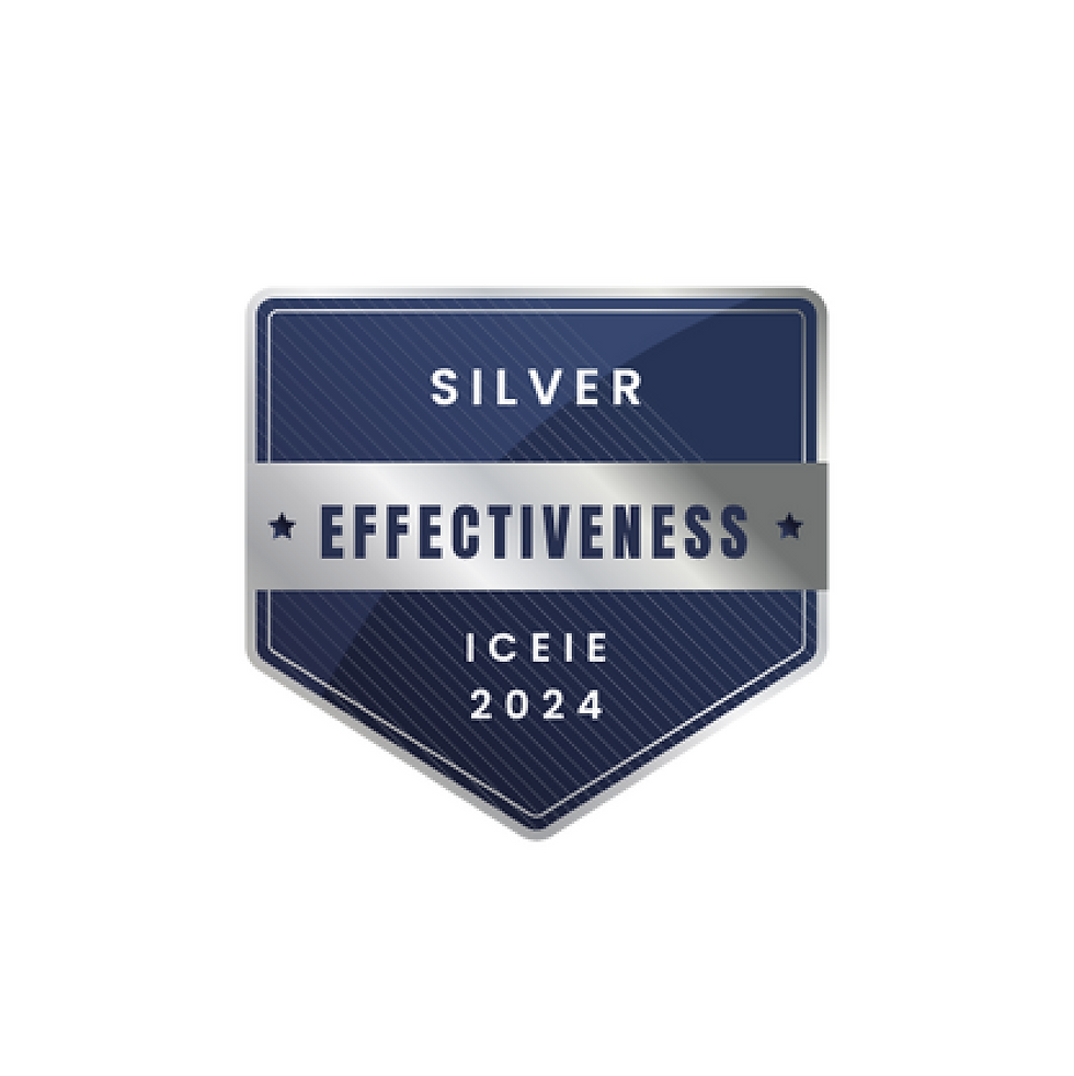 Silver Effectiveness ICEIE 2024
