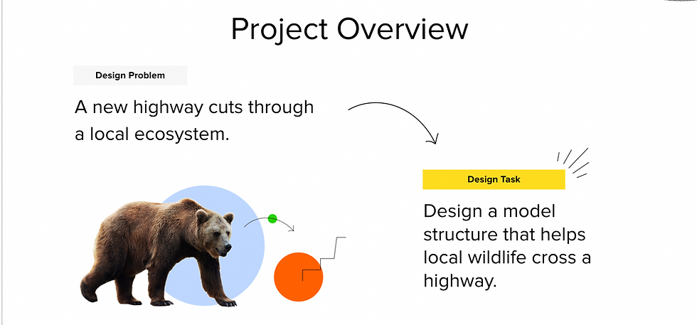 Bear on geometric shapes with "Project Overview" text. Design problem: highway cuts ecosystem. Task: model for wildlife crossing highway.