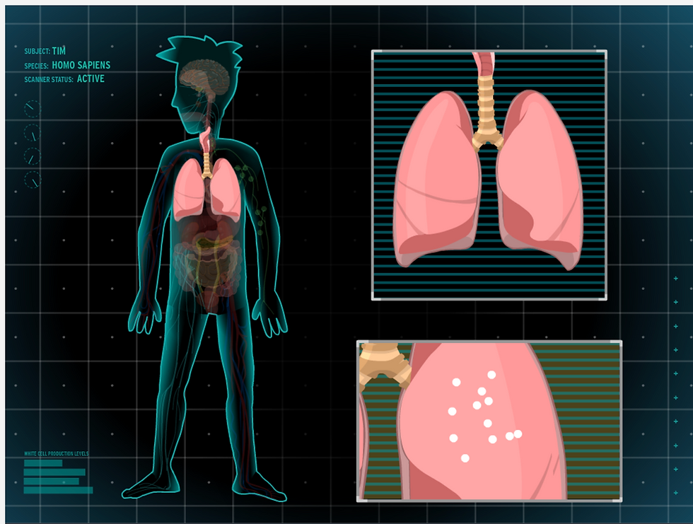 Human body scan of Tim shows organs with detailed lung focus. Pink organs on black grid background. Text: "Subject: Tim, Species: Homo Sapiens." From the BrainPOP Respiratory Systems movie.