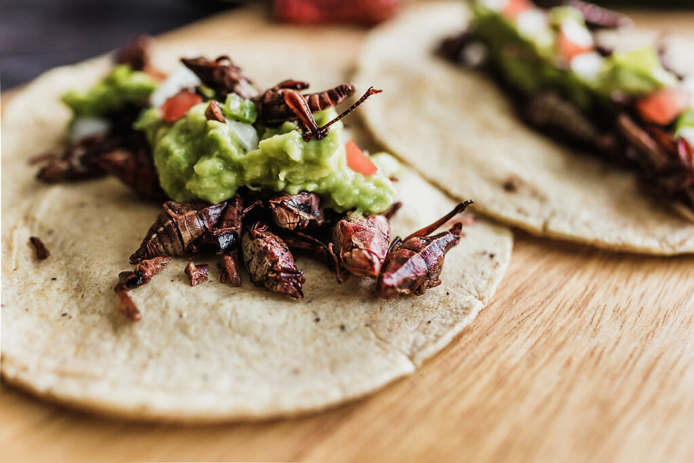 Tacos with grasshoppers, guacamole, and diced tomatoes on tortillas. Wooden surface; vibrant colors create an adventurous culinary mood.