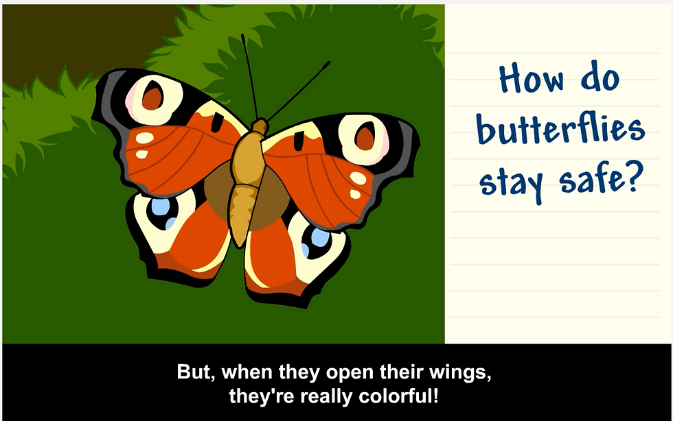From BrainPOP Jr.'s movie on butterflies. Butterfly shown on screen next to text: How do butterflies stay safe?