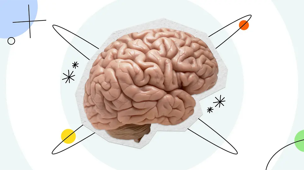 Illustration of a human brain with abstract lines, circles, and star shapes in the background. Colors include beige, blue, yellow, and orange.