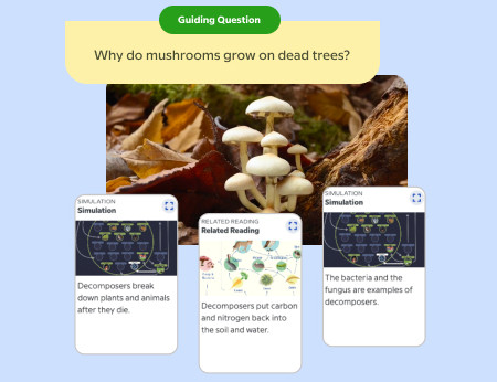 Example of BrainPOP Science investigation on Decomposers. The guiding question asks "Why do mushrooms grow on dead trees?" Written student observations from simulations and related readings will be used in evidence-based writing in the investigation.