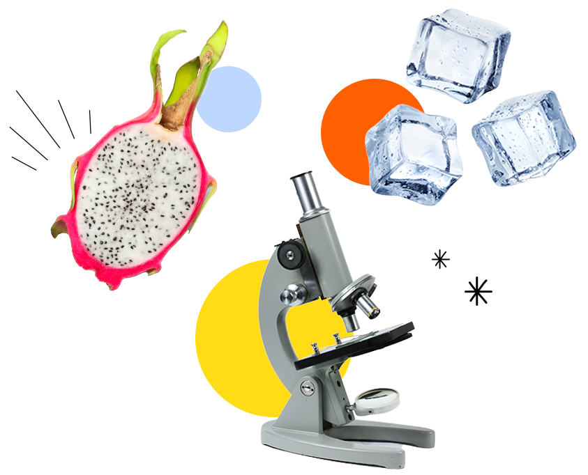 Microscope, dragon fruit, ice cubes