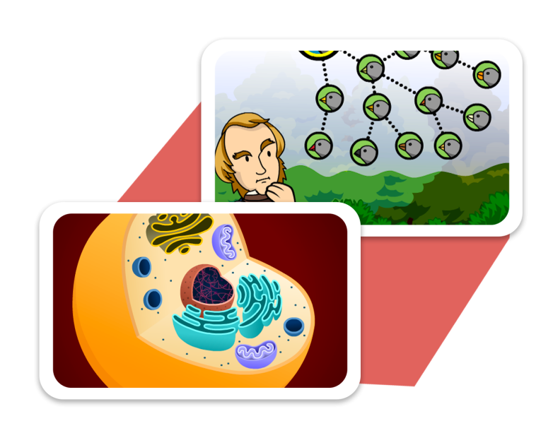 Diagram of a cell alongside a movie about Darwin learning about finches in the Galapagos.